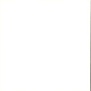 EINERBANDE-Tomatenplatten 004-7" Single (Vinyl)-01