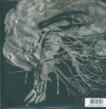 Integrity-Suicide Black Snake-LP (Vinyl)-02