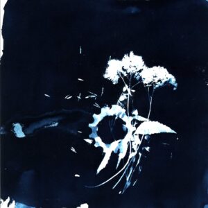 Minerva-Germinal-LP (Vinyl)-01