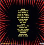 Pennywise-Straight Ahead-LP (Vinyl)-02