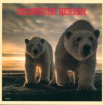 Schwache Nerven-Split LP-LP (Vinyl)-01