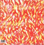 The Bug-Fire-LP (Vinyl)-02