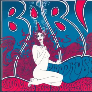 Baby Woodrose-Mindblowing Seeds And Disconnected Flowers-LP (Vinyl)-1