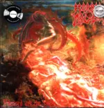 Morbid Angel-Blessed Are The Sick-LP (Vinyl)-1