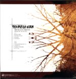 Despised Icon-The Healing Process-LP Vinyl - Image 2