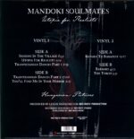 Man Doki Soulmates-Utopia For Realists (Hungarian Pictures)-LP Vinyl – Bild 2