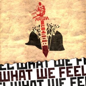 What We Feel-Naschi 14 Slov-LP Vinyl