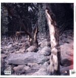 Split Cranium-Split Cranium-LP Vinyl