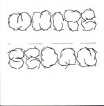 Fazer-White Sedan (Glenn Astro and Hodini - Werkha Remix)-12 Vinyl