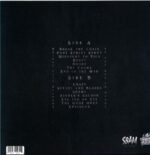 The Bridge City Sinners-In The Age Of Doubt-jasper LP Vinyl