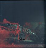 A Storm Of Light-And We Wept The Black Ocean Within signed blue green-LP