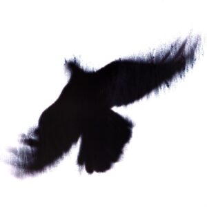 Blueneck-The Fallen Host-10 Vinyl