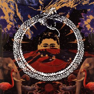 Stone House On Fire-Neverending Cycle red-LP Vinyl