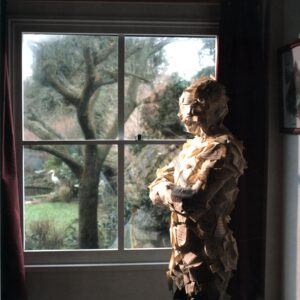 The Pineapple Thief-Someone Here Is Missing Ltd Ed-LP Vinyl