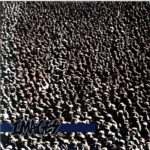 Images-Images-7 Vinyl