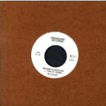 Madam Skandalös The 101 Years-Der Computer-7 Vinyl