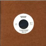 Madam Skandalös The 101 Years-Der Computer-7 Vinyl