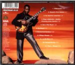 Selaelo Selota-Enchanted Gardens-CD