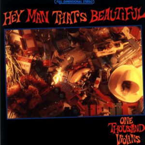 One Thousand Violins-Hey Man That's Beautiful-LP Vinyl