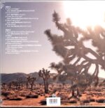 The Picturebooks-The Major Minor Collective-mint LP Vinyl