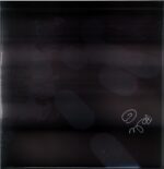 Crippled Black Phoenix-Destroy Freak Valley-signed black grey marble LP Vinyl