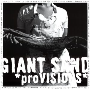 Giant Sand-proVISIONS-signed LP Vinyl