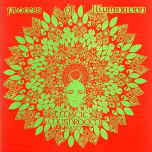 Magic Mushroom Band-Process Of Illumination-LP Vinyl