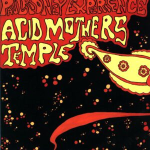 Acid Mothers Temple - Paul Kidney Experience-Paul Kidney Experience Split-LP Vinyl