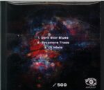 Acid Mothers Temple and The Melting Paraiso UFO-The Man Who Fell To Us Live In Nagoya 2017-CD