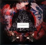 Ghaust-Blckwvs-Split Teninch-10 Vinyl