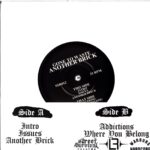 Gone To Waste-Another Brick-7 Vinyl