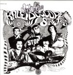 Kaleidoscope-Side Trips-LP Vinyl signed David Lindley