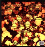 Siena Root-Far From The Sun-LP Vinyl