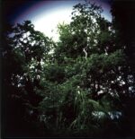 The Roller-Wasted Heritage green-LP Vinyl