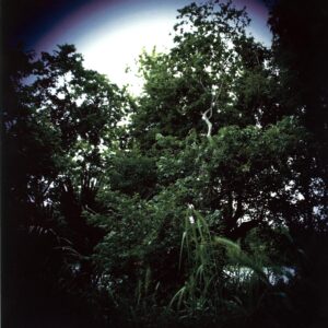 The Roller-Wasted Heritage green-LP Vinyl