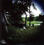 The Roller-Wasted Heritage green-LP Vinyl