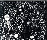 The Telescopes-As Light Return-CD