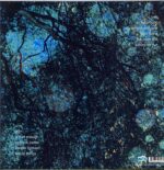 Yo La Tengo-Fade-LP Vinyl