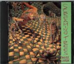 Screaming Trees-Invisible Lantern-CD