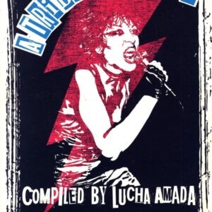 Various-A Tribute To Punk-CD