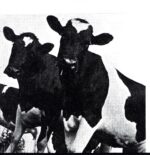 Various-Ghostriders In The Sky-LP Vinyl