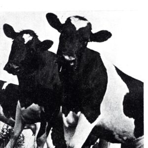 Various-Ghostriders In The Sky-LP Vinyl