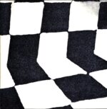 Ducktails-The Flower Lane-LP Vinyl