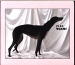 Flat Worms-Flat Worms-CD