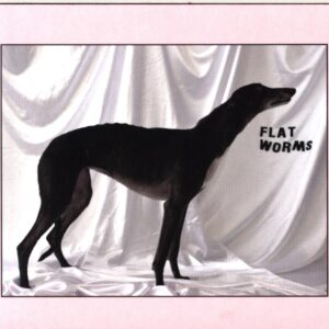 Flat Worms-Flat Worms-CD