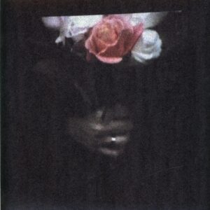 Paper Dollhouse-Aeonflower-LP Vinyl