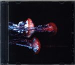 Viaje A 800-Estampida De Trombones-CD