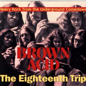 Various-Brown Acid The Eighteenth Trip (Heavy Rock From The Underground Comedown)-CD