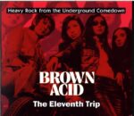 Various-Brown Acid The Eleventh Trip (Heavy Rock From the Underground Comedown)-CD