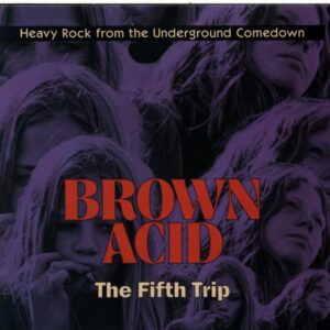 Various-Brown Acid The Fifth Trip (Heavy Rock From The Underground Comedown)-CD
